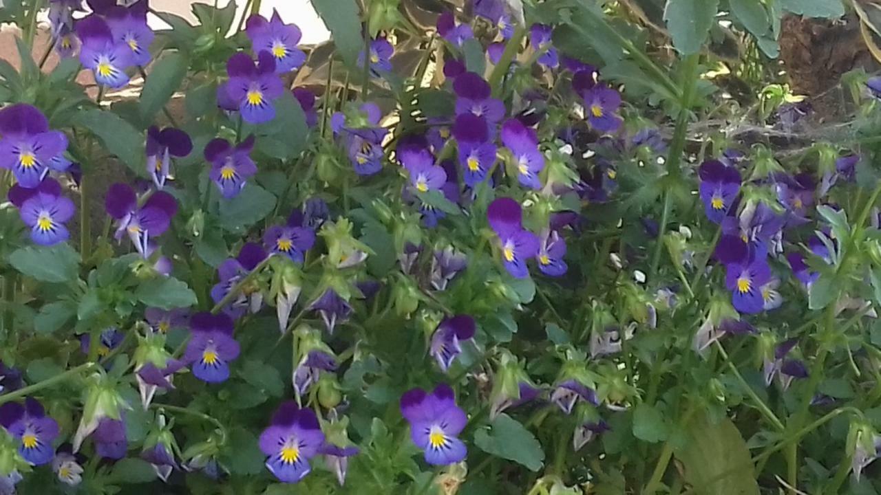 Villa La Casa delle Fate Solto Collina Esterno foto